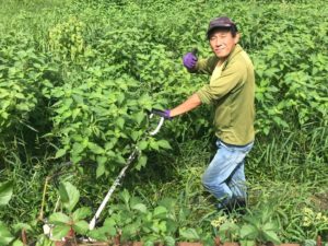 奈良市東部エゴマの郷のHPがオープンしました！