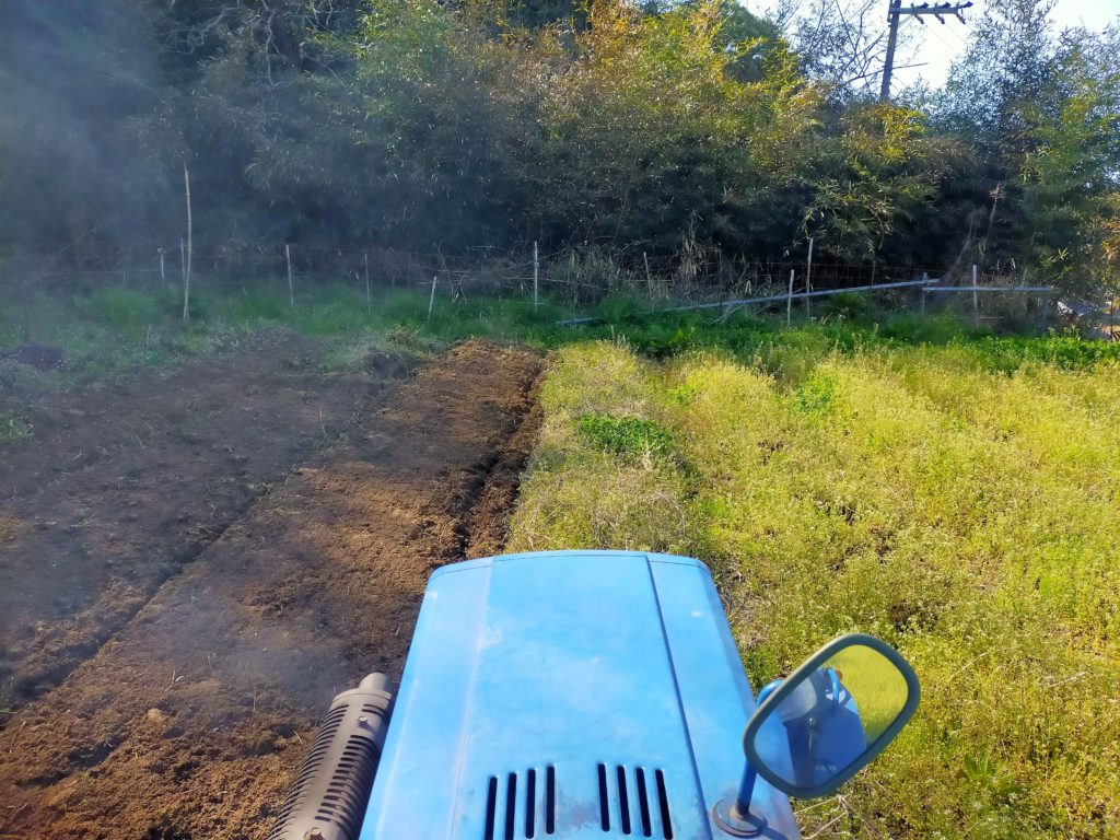 ぼちぼち耕起開始