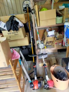 長雨もやっと終わり？